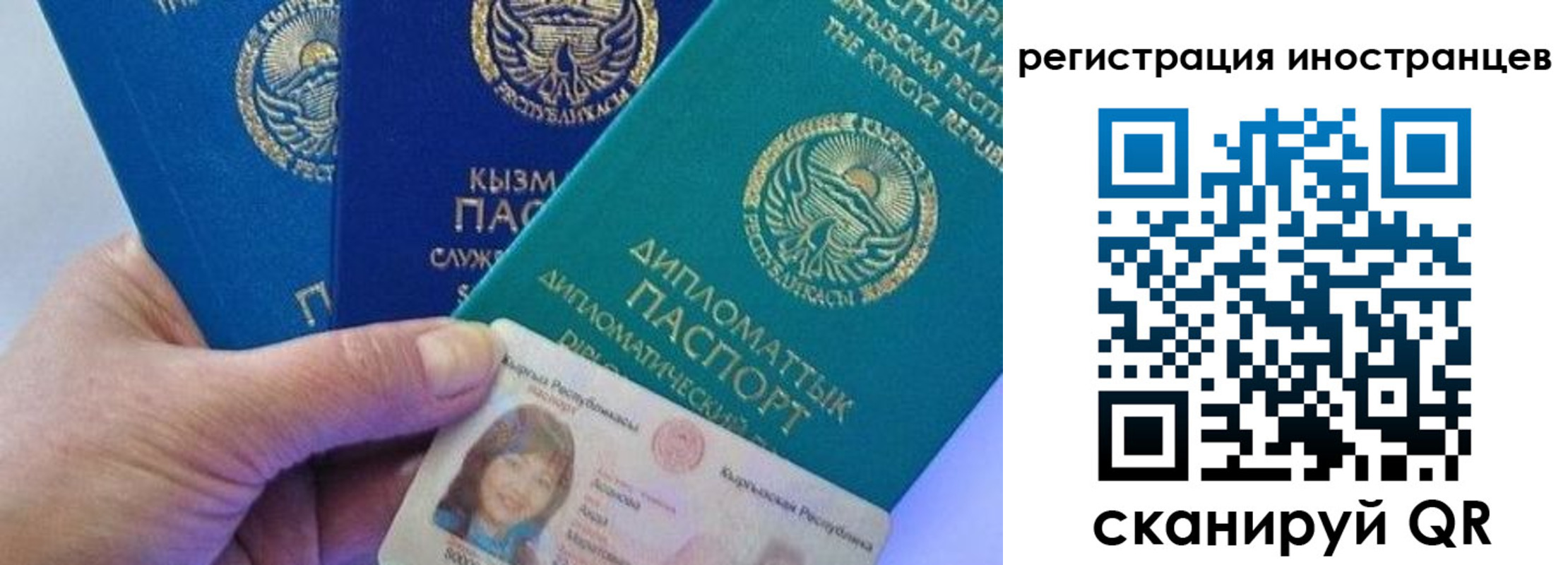 прописка в Сертолово